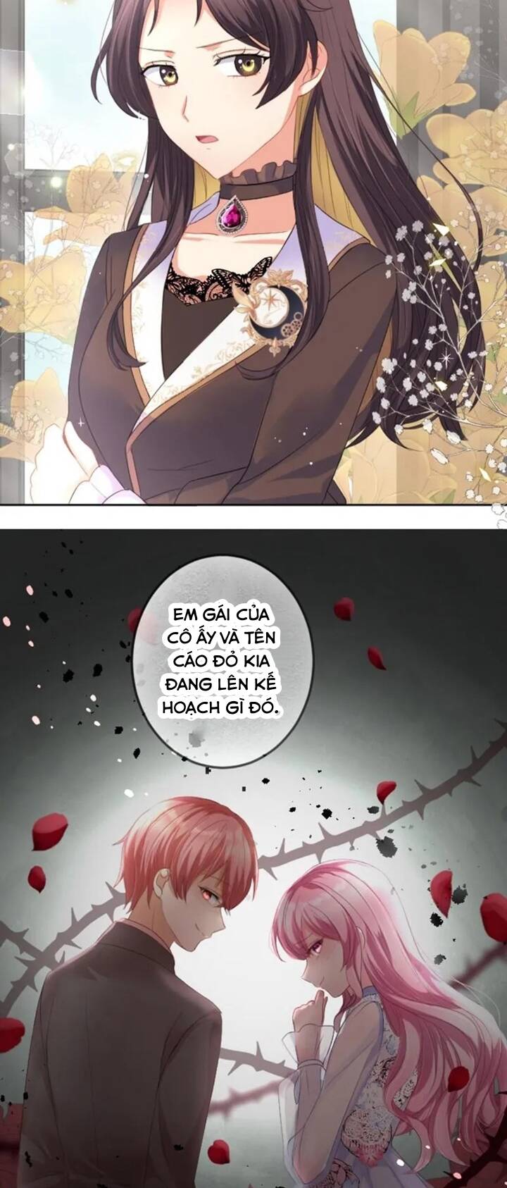 Quý Cô Không Rơi Nước Mắt Chương 28 Ảnh 21
