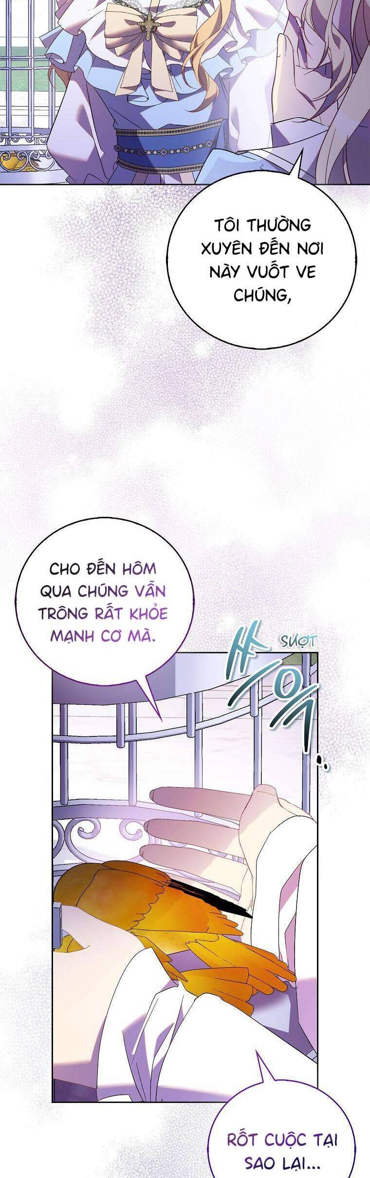 Tôi Là Thánh Nữ Giả Mạo Nhưng Các Thần Lại Ám Ảnh Tôi Chương 69 Ảnh 16