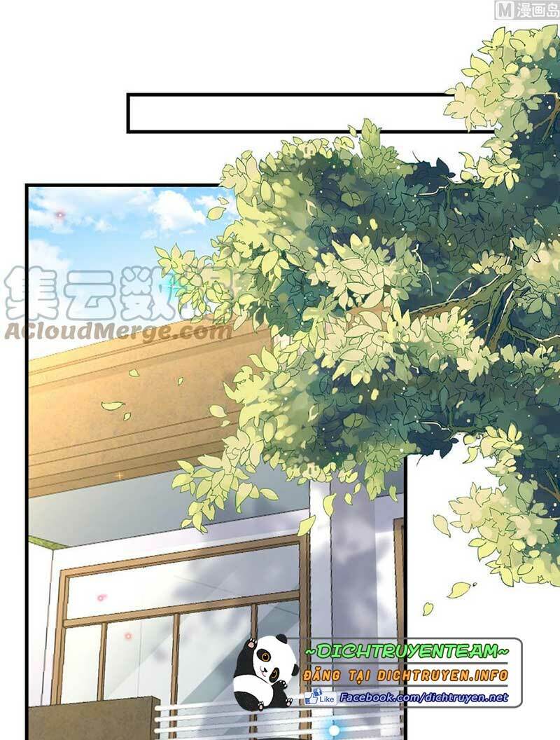 Ảnh Đế Làm Loạn Đòi Ly Hôn Chương 90 Ảnh 30