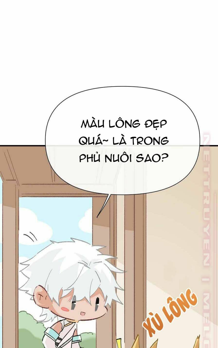 Dĩ Hạ Phạm Thượng Chương 62 Ảnh 17