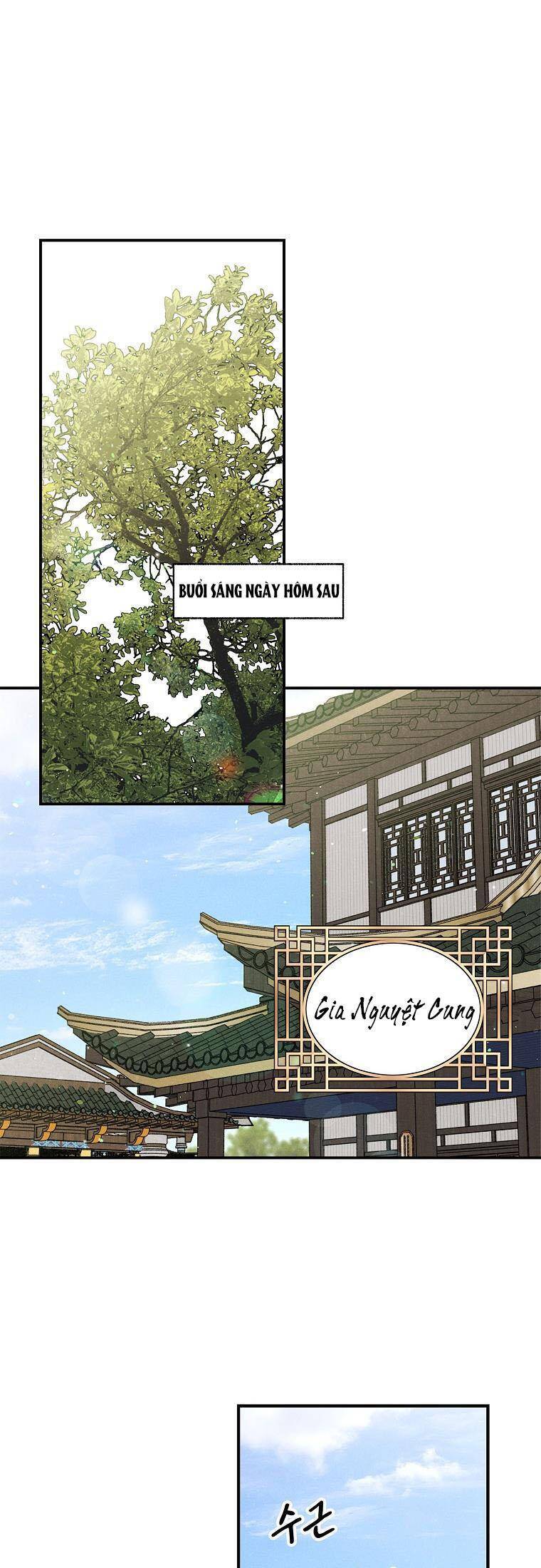 Quốc Hôn Chương 39 Ảnh 3