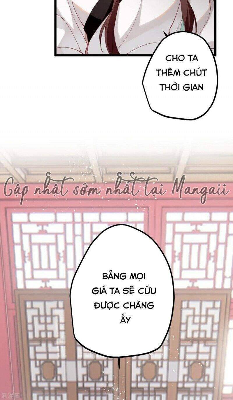 Công Chúa Pháo Hôi Muốn Tùy Tiện Đến Cùng Chương 69 Ảnh 16