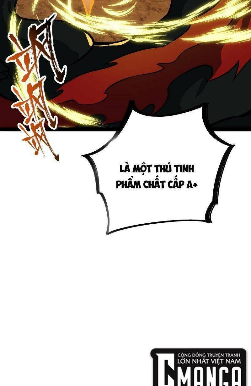 Luyện Khí Một Vạn Tầng Chương 17 Ảnh 77
