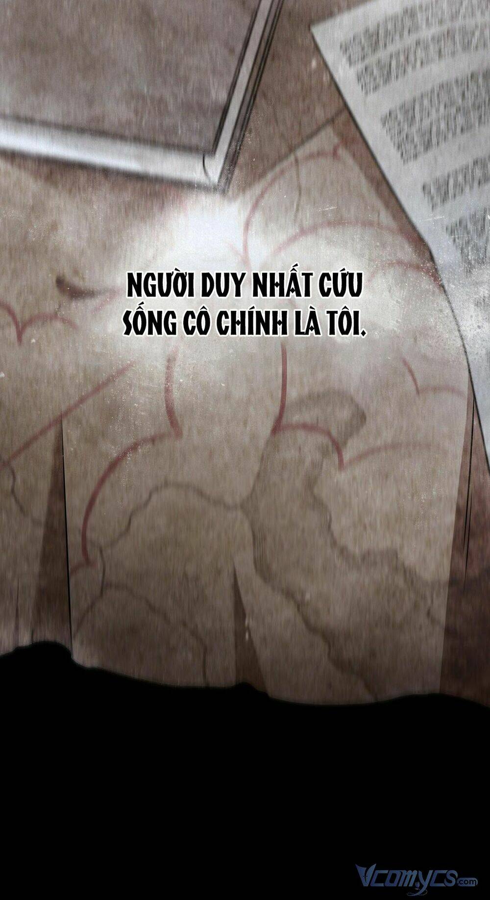 Lời Nói Dối Vĩnh Cửu Chương 13 Ảnh 25