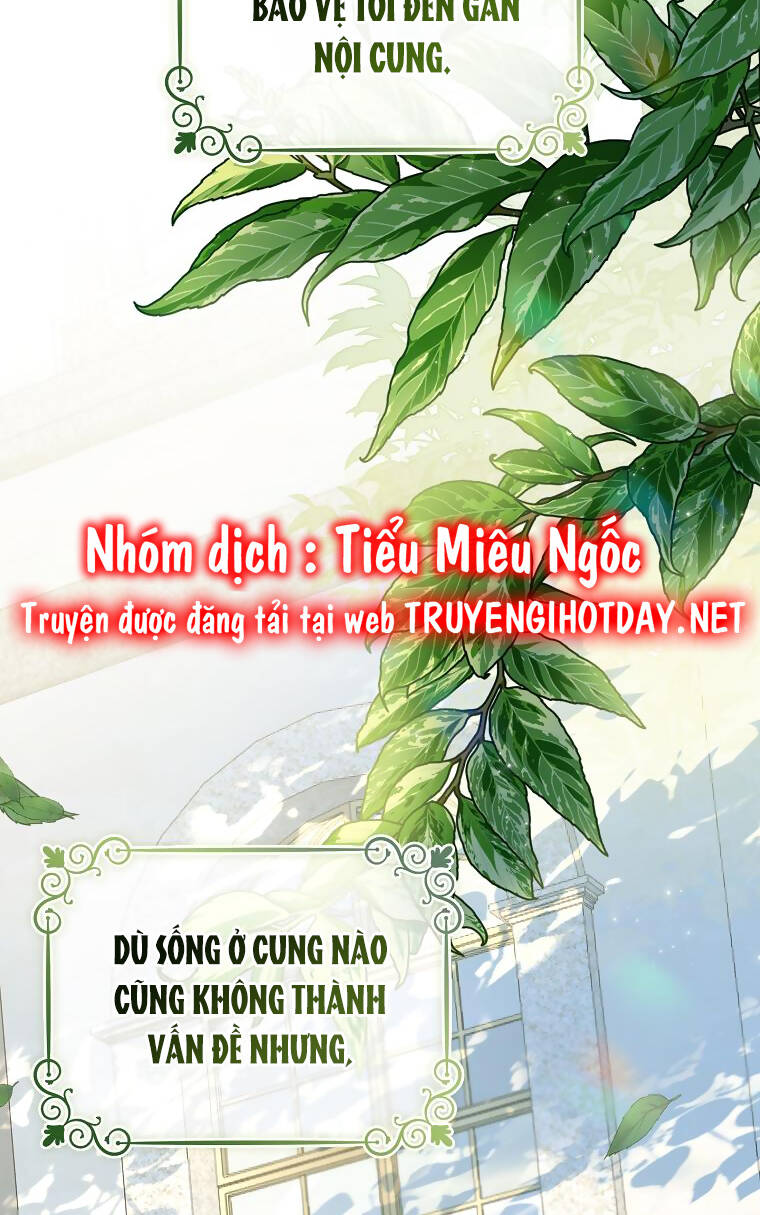Xin Hãy Nhận Con Làm Con Đi Mà, Papa Chương 38 Ảnh 7