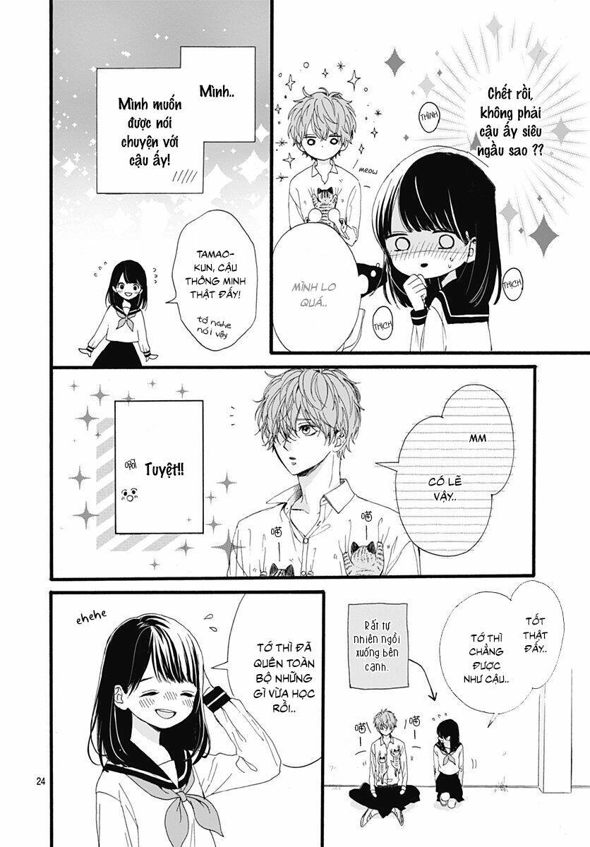 Tama No Gohoubi Chương 1 Ảnh 25
