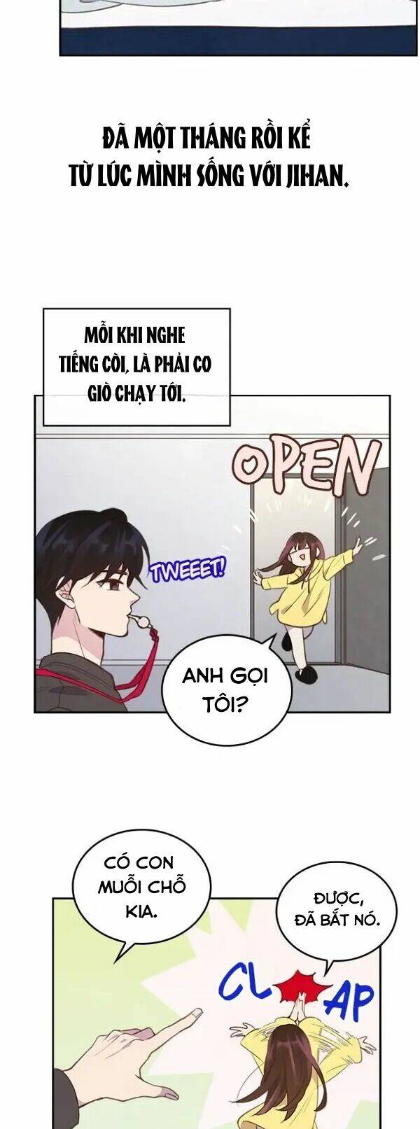 Cuộc Hôn Nhân Bất Khả Thi Chương 13 Ảnh 4
