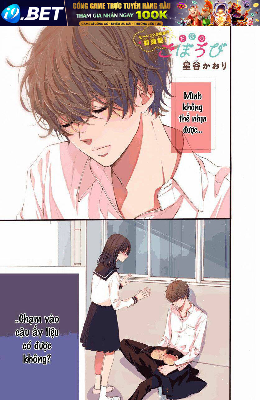 Tama No Gohoubi Chương 1 Ảnh 2