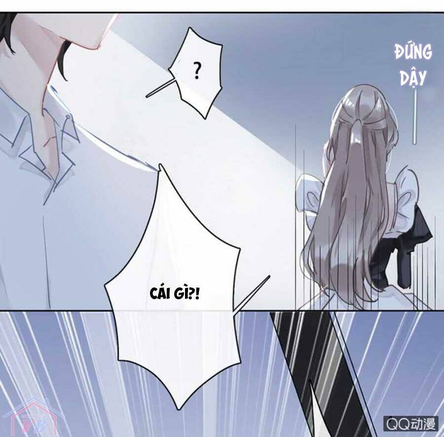 Thác Sủng Thiên Giá Danh Viên Chương 24 Ảnh 25