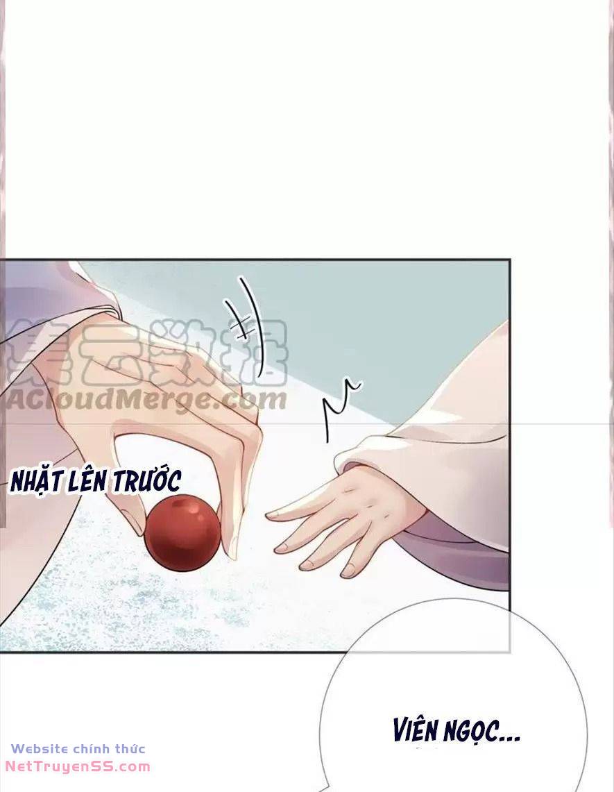 Xuyên Về Cổ Đại Làm Nữ Phụ Vô Dụng Chương 59 Ảnh 5