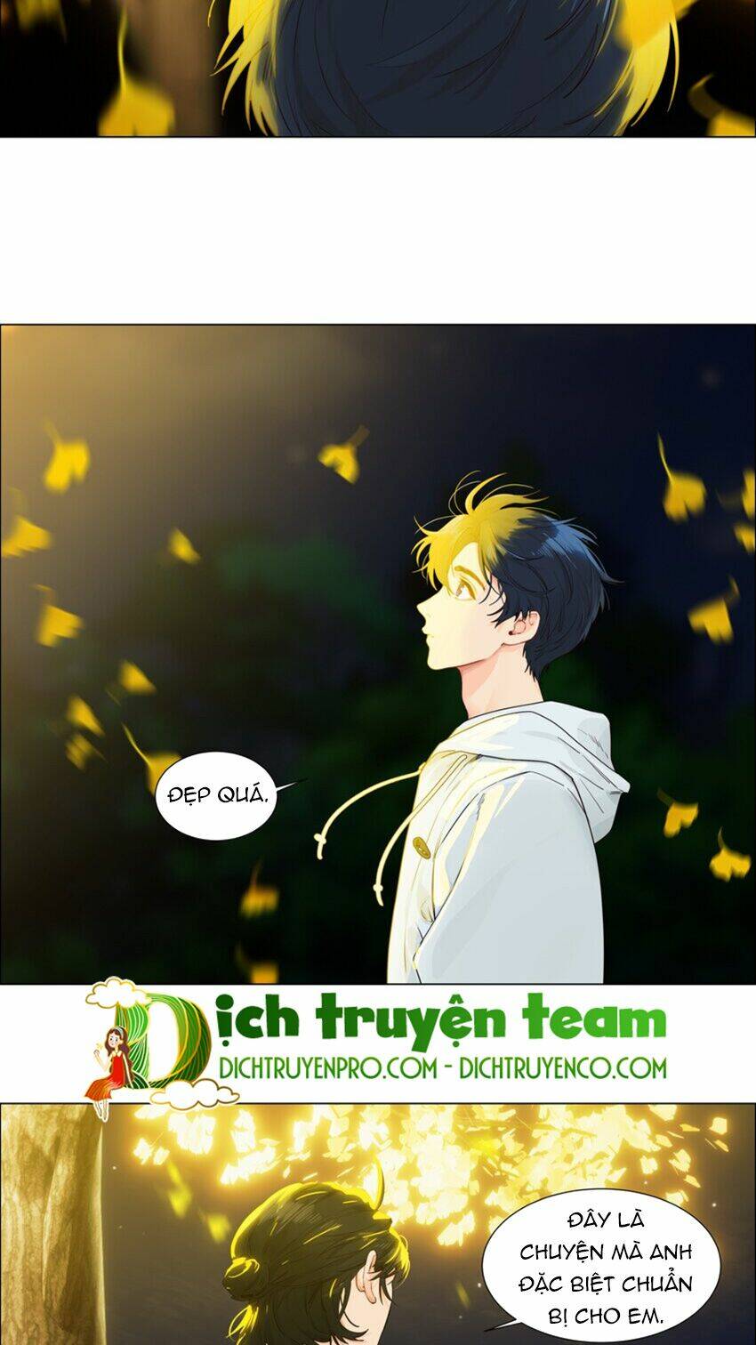 Đâu Phải Tại Tui Muốn Giả Gái Chương 116 Ảnh 17