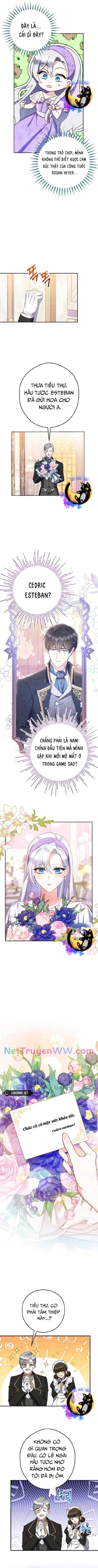 Công Nương Sinh Ra Để Sống Một Mình Chương 5 Ảnh 6