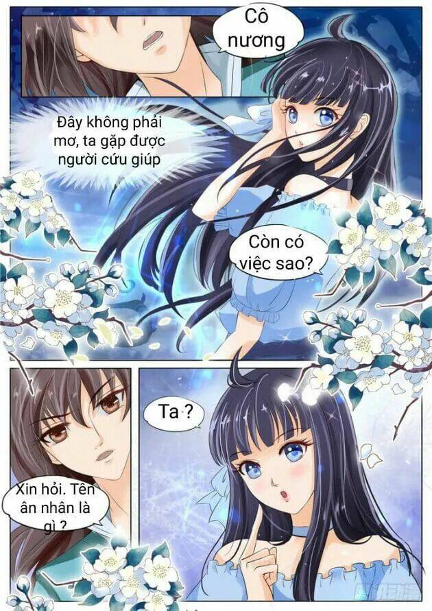 Gia Huynh Ở Lại Tìm Đường Chết Chương 1 Ảnh 16