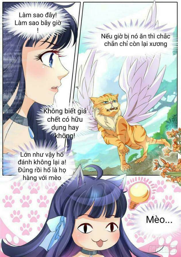 Gia Huynh Ở Lại Tìm Đường Chết Chương 3 Ảnh 8