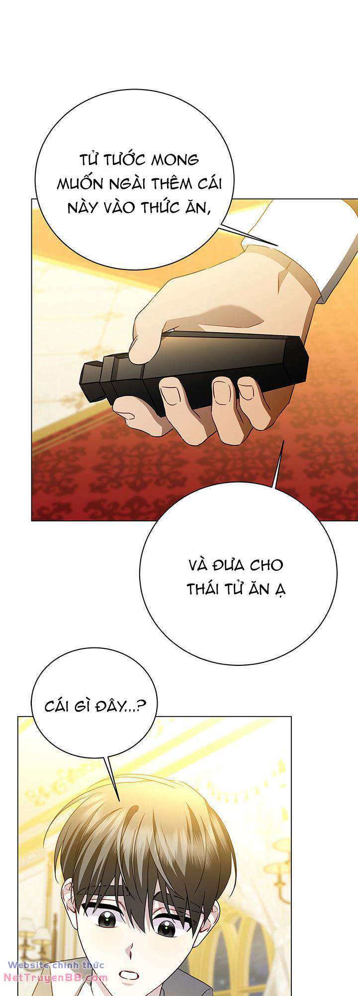 Tôi Sẽ Không Hối Tiếc Vì Anh Đâu Chương 117 Ảnh 11