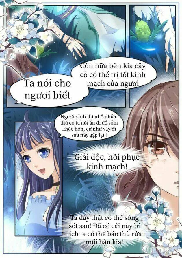 Gia Huynh Ở Lại Tìm Đường Chết Chương 1 Ảnh 15