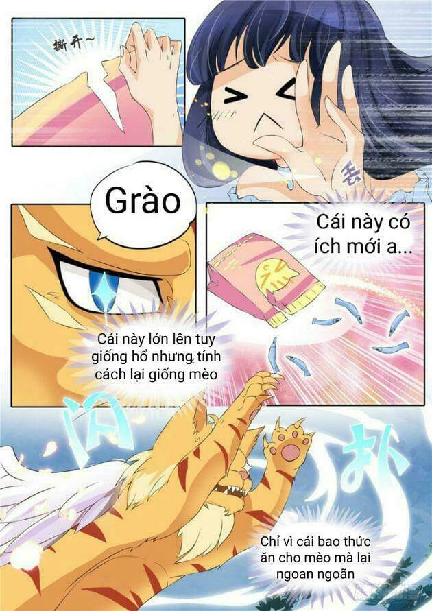 Gia Huynh Ở Lại Tìm Đường Chết Chương 3 Ảnh 10