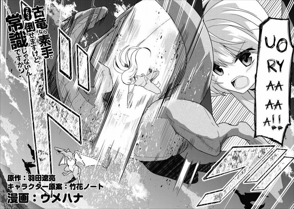 Koryuu Nara Sude De Taosemasu Kedo, Kore Tte Joushiki Janai N Desu Ka? Chương 1 Ảnh 3