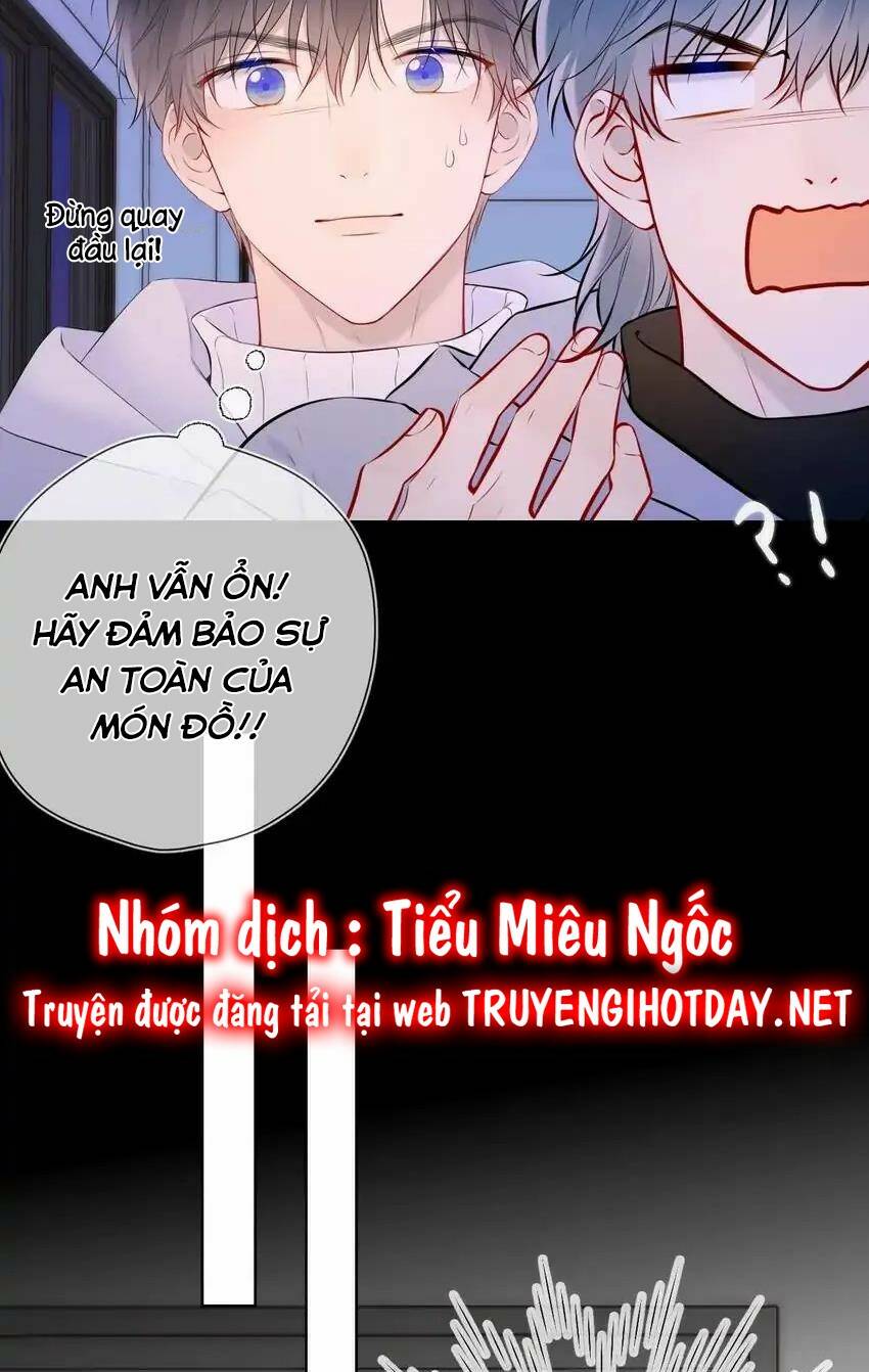 Ngôi Sao Cho Tôi Chương 135 Ảnh 15