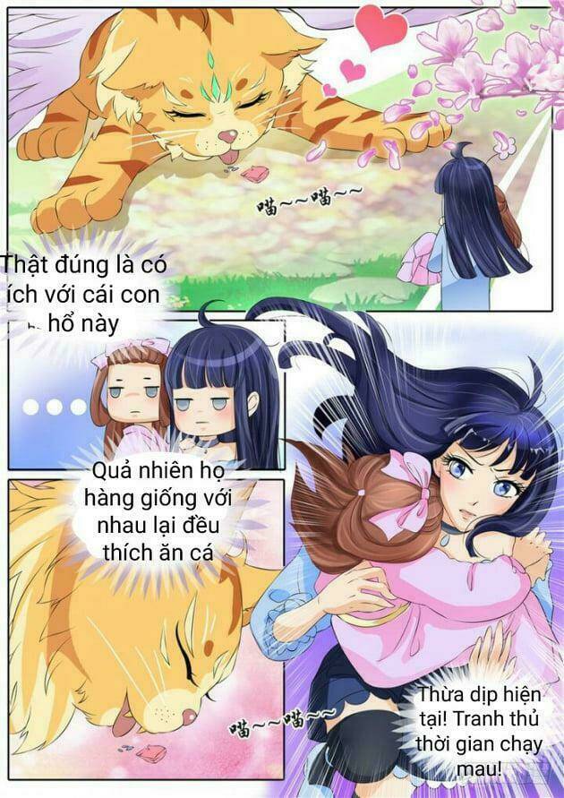Gia Huynh Ở Lại Tìm Đường Chết Chương 3 Ảnh 11