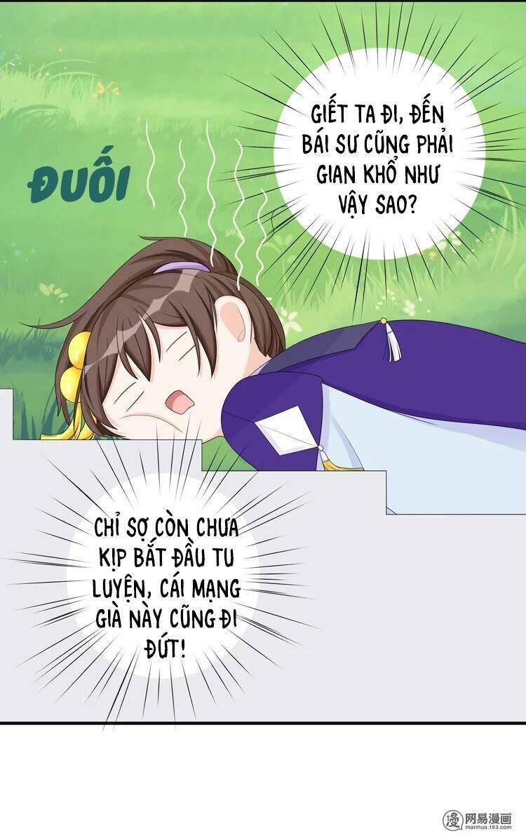 Phác Đảo Sư Tôn Đại Nhân Chương 12 Ảnh 22