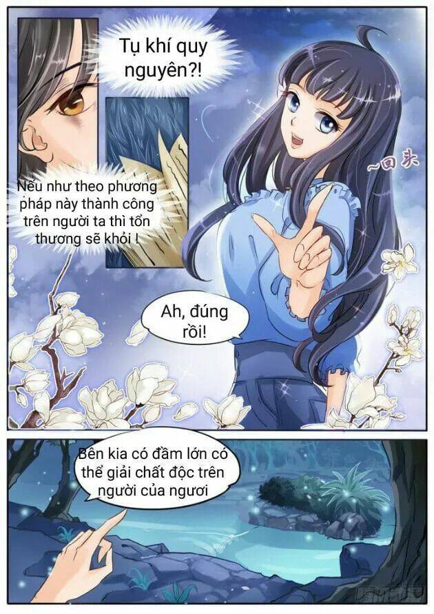Gia Huynh Ở Lại Tìm Đường Chết Chương 1 Ảnh 14