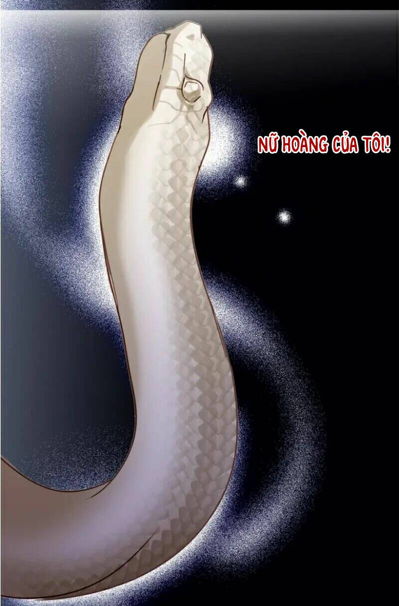 Hậu Duệ Của Mãng Xà Chương 2 Ảnh 26