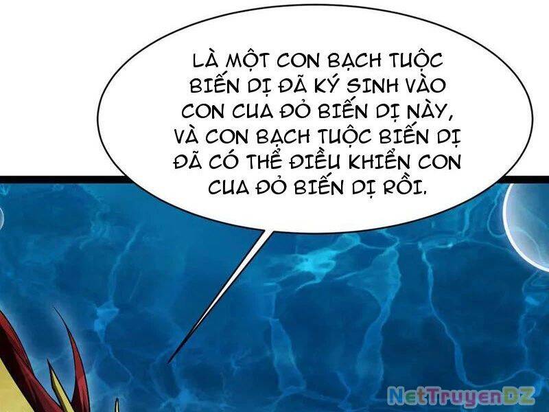 Cá Chép Tiến Hoá Thành Thần Long Chương 37 Ảnh 35