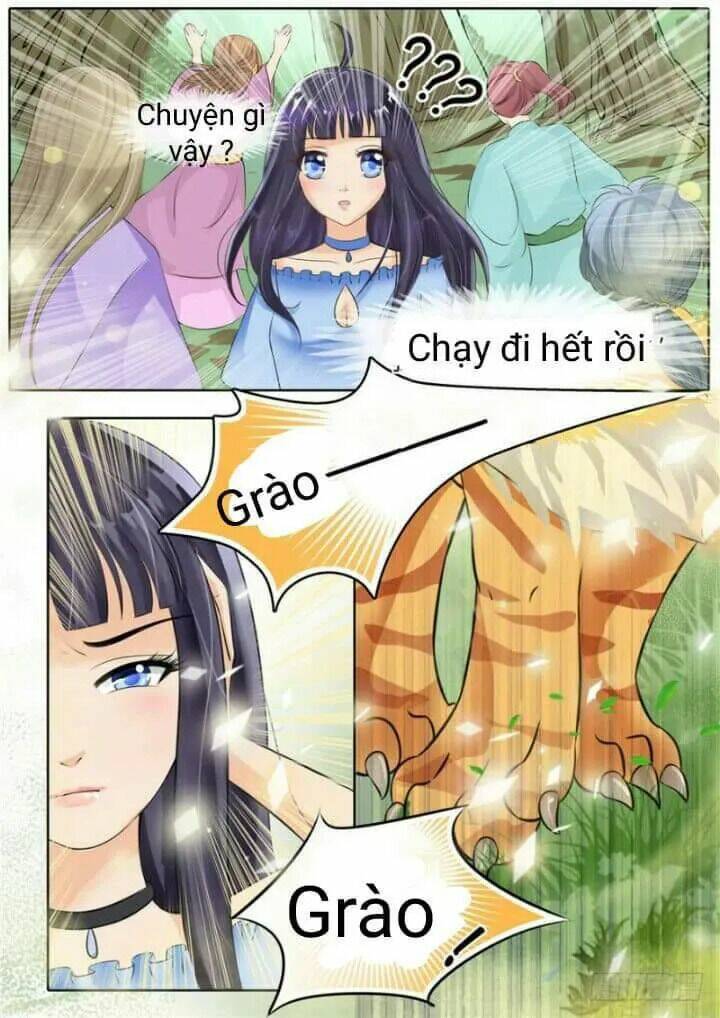 Gia Huynh Ở Lại Tìm Đường Chết Chương 2 Ảnh 10