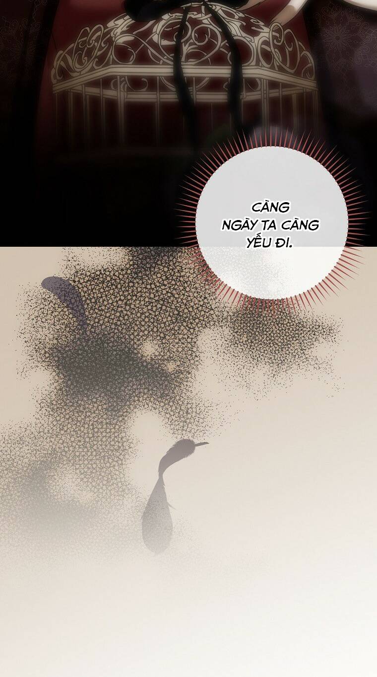 Tiểu Thư Hắc Ám Nhà Công Tước Chương 43 Ảnh 29