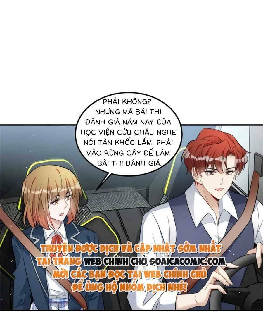 Đại Lão Nào Cũng Tranh Sủng Ta Chương 243 Ảnh 20