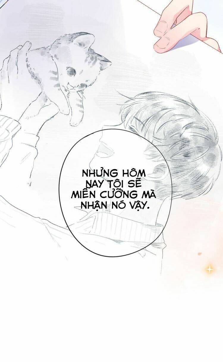 Dolo Mệnh Vận Giao Nang Chương 40 Ảnh 5