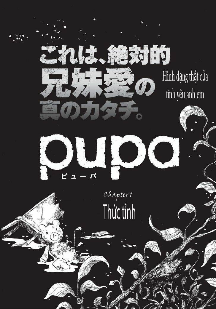 Pupa Chương 1 Ảnh 4