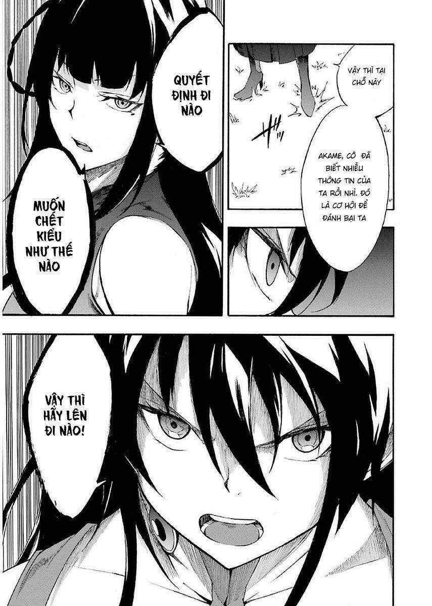 Akame Ga Kill! Zero Chương 42 Ảnh 4