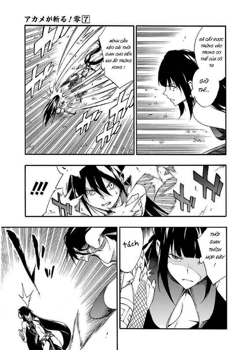 Akame Ga Kill! Zero Chương 42 Ảnh 10