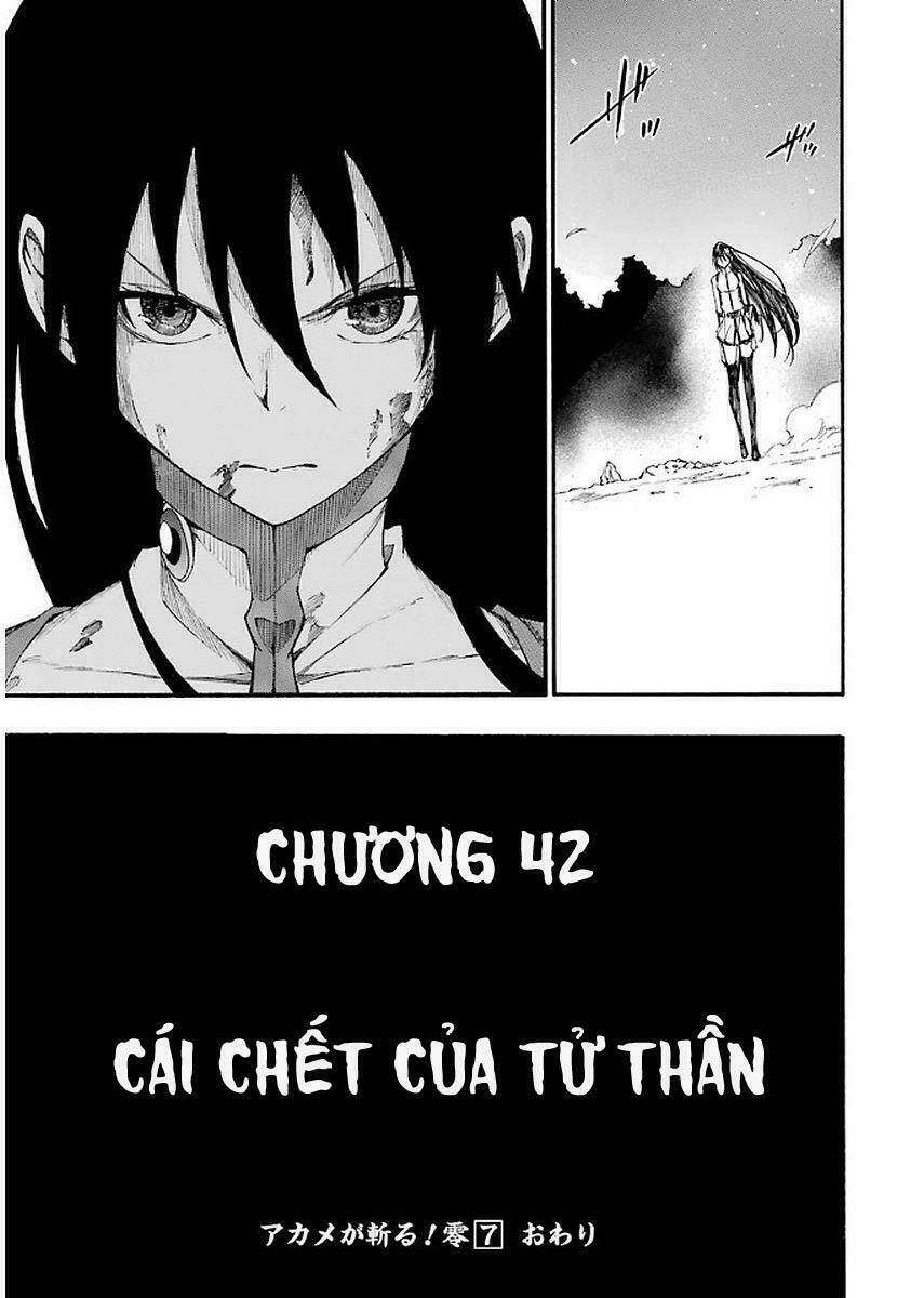 Akame Ga Kill! Zero Chương 42.5 Ảnh 30