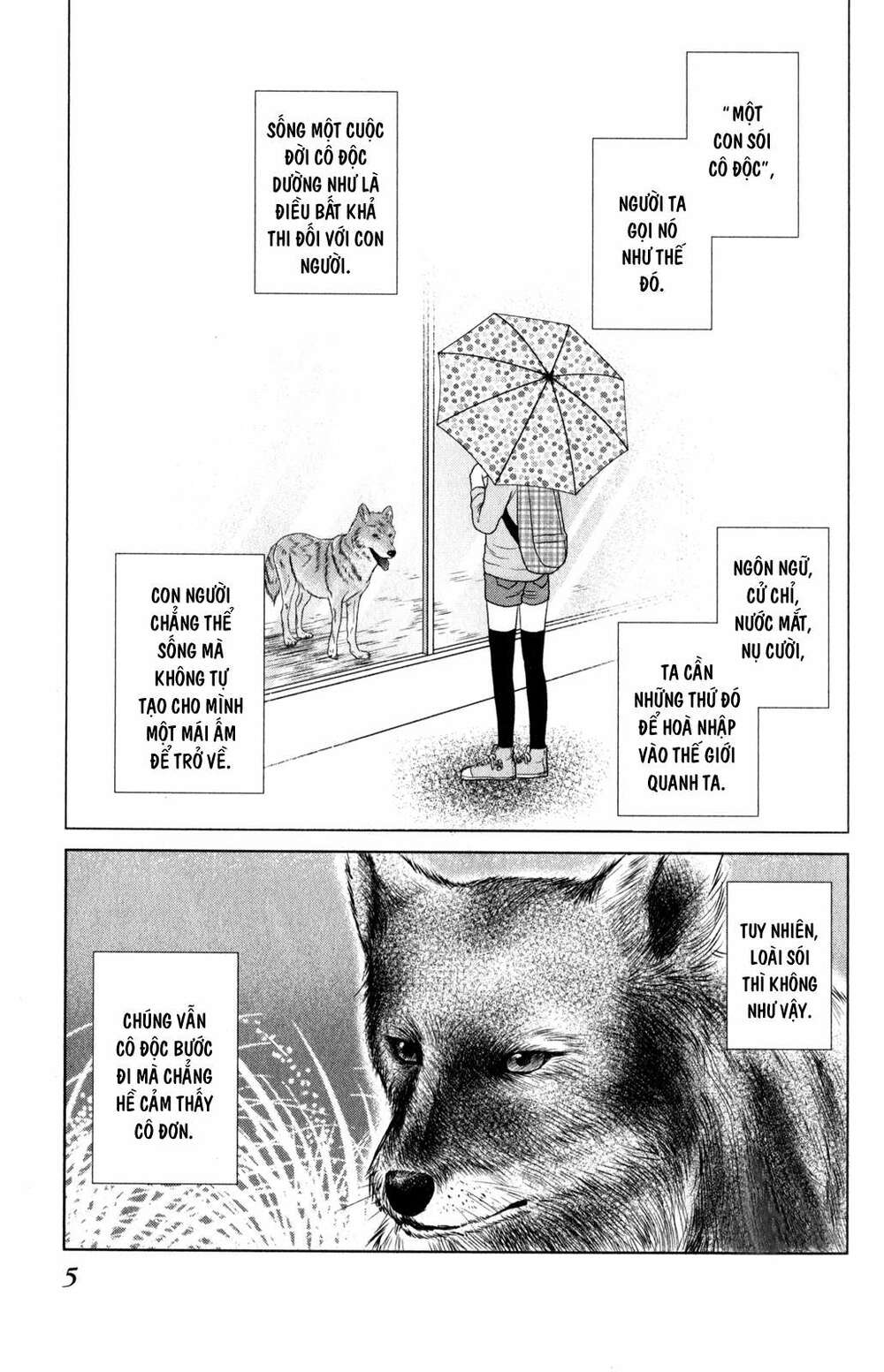 Bambi To Dhole Chương 1 Ảnh 8