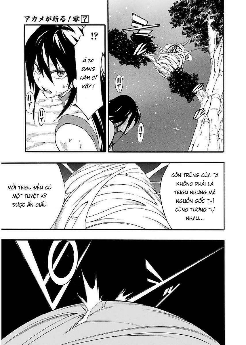 Akame Ga Kill! Zero Chương 42 Ảnh 20