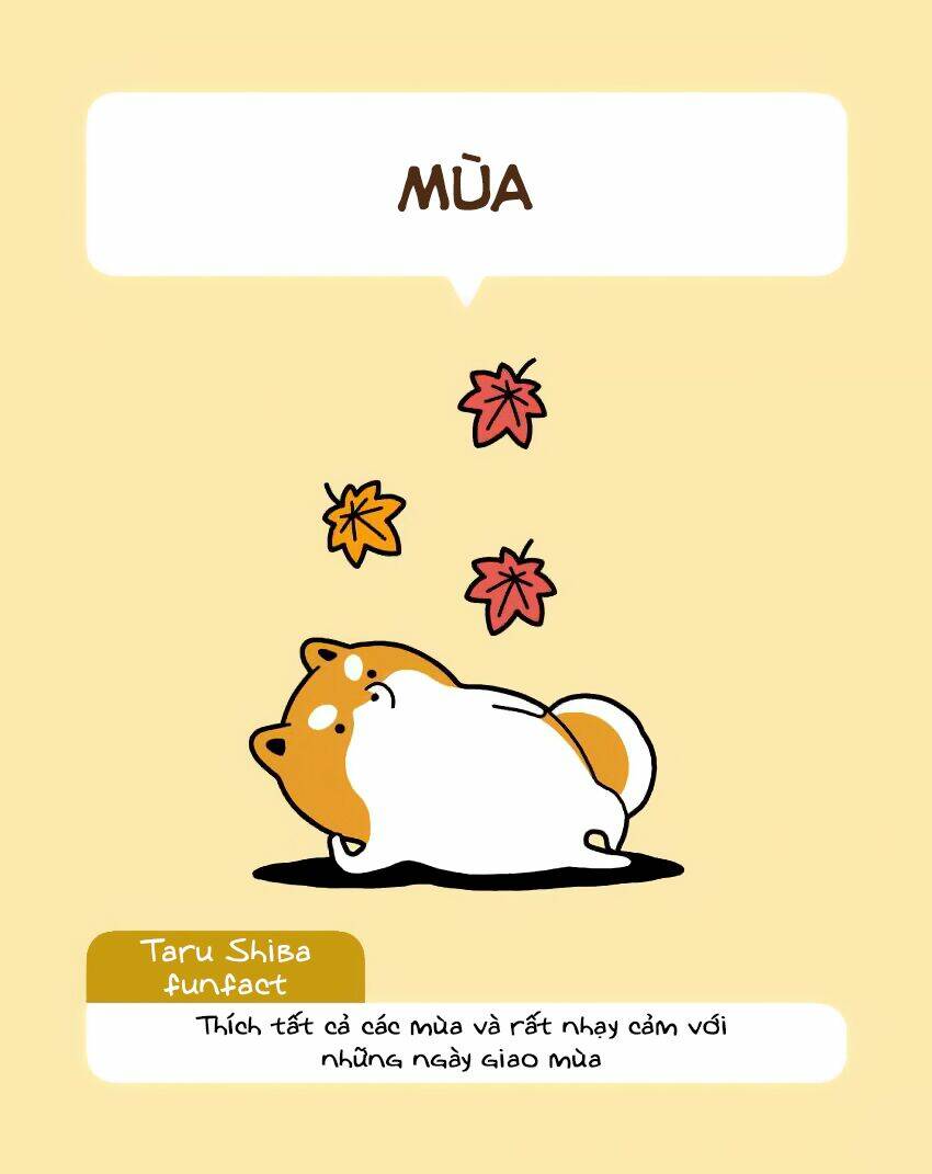 Taru Shiba Chương 6 Ảnh 5
