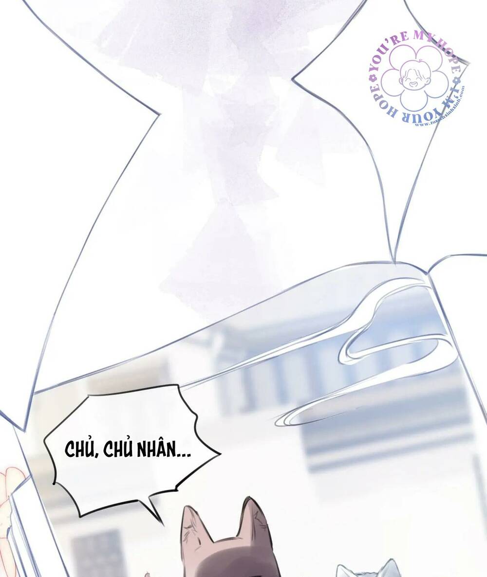 Vi Phu Của Ta Là Long Ngạo Thiên Chương 32 Ảnh 13