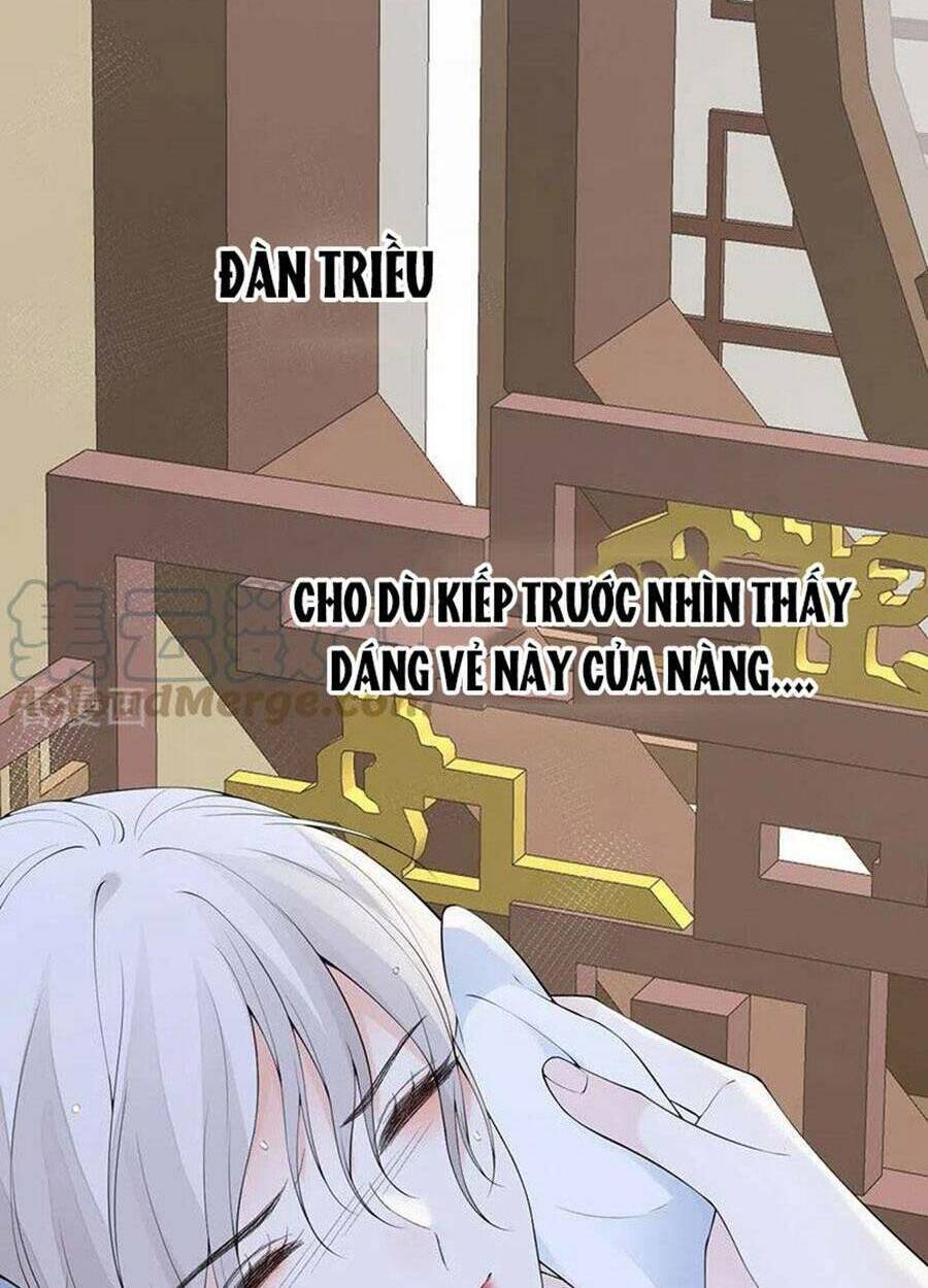 Thái Hậu Quân Hạ Thần Chương 174 Ảnh 41
