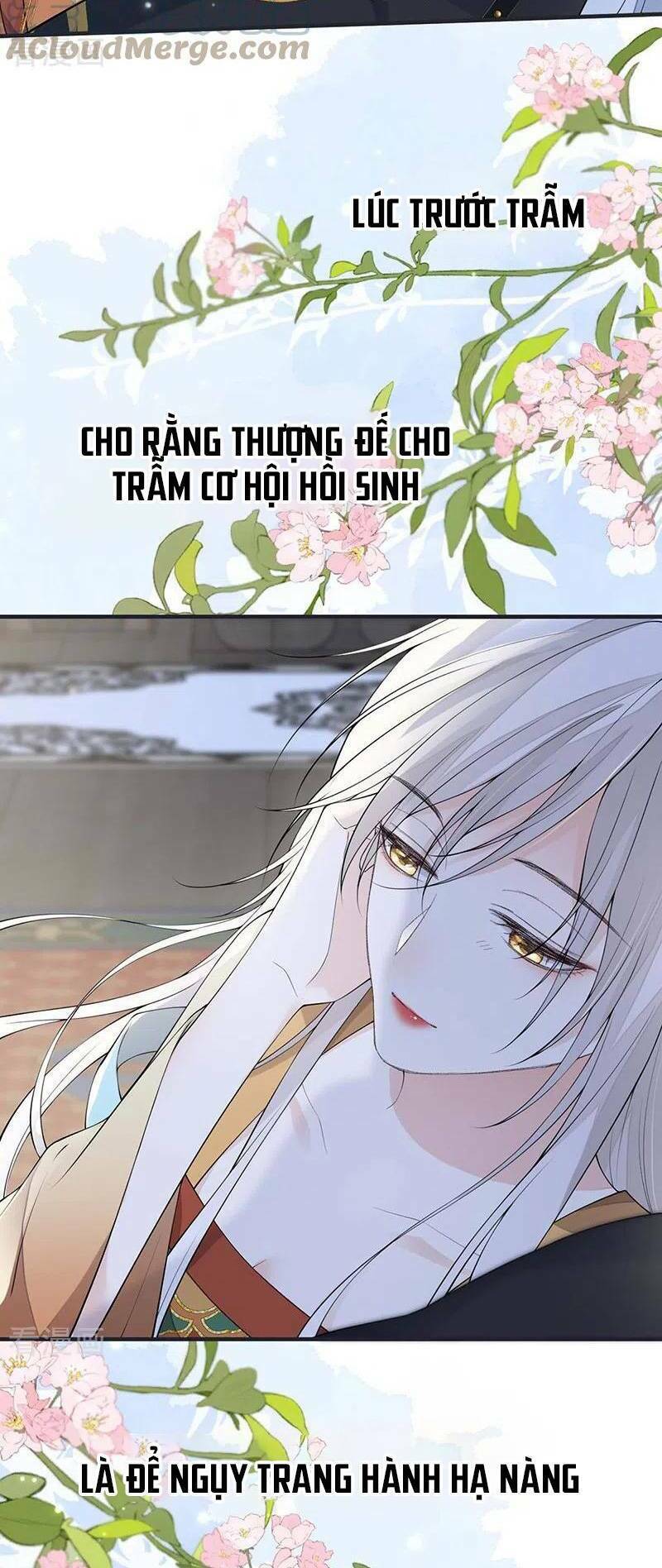 Thái Hậu Quân Hạ Thần Chương 172 Ảnh 36