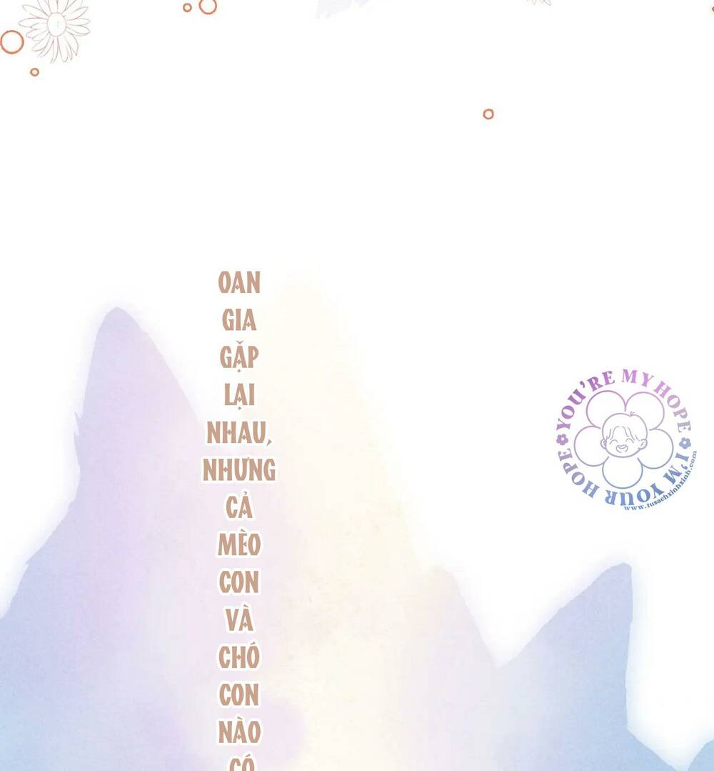 Vi Phu Của Ta Là Long Ngạo Thiên Chương 32 Ảnh 15