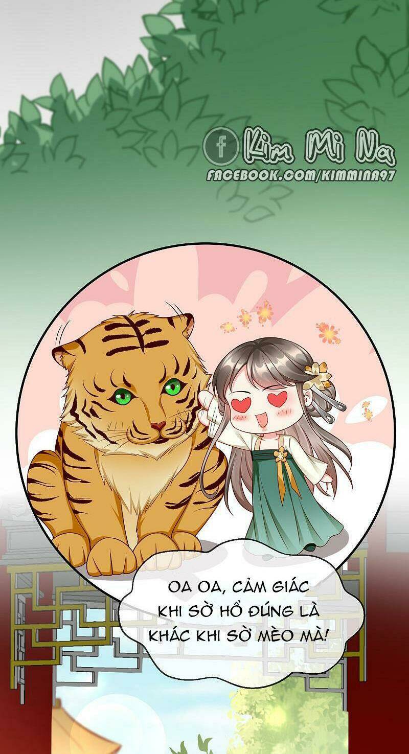 Vương Phi Là Đoá Bạch Liên Hoa Chương 36 Ảnh 18