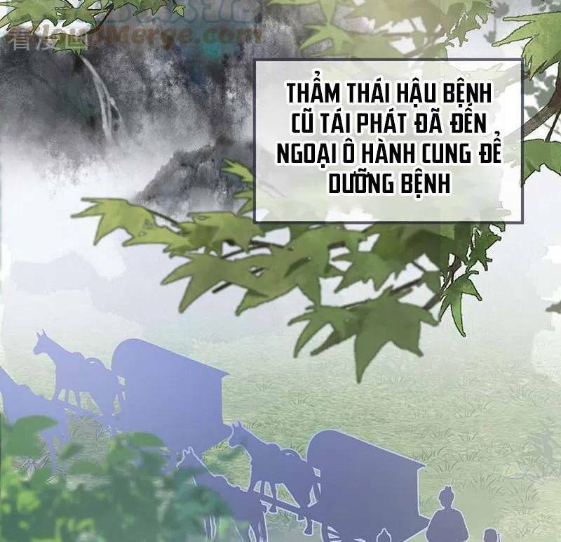 Thái Hậu Quân Hạ Thần Chương 173 Ảnh 38