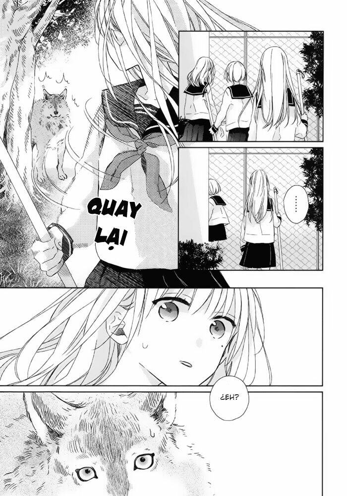 Watashi No Ookami-Kun Chương 15 Ảnh 9