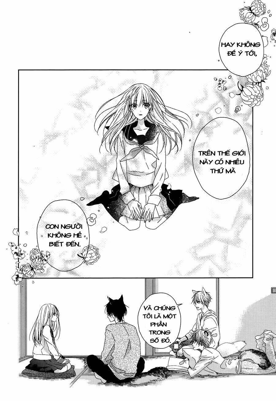 Watashi No Ookami-Kun Chương 2 Ảnh 31