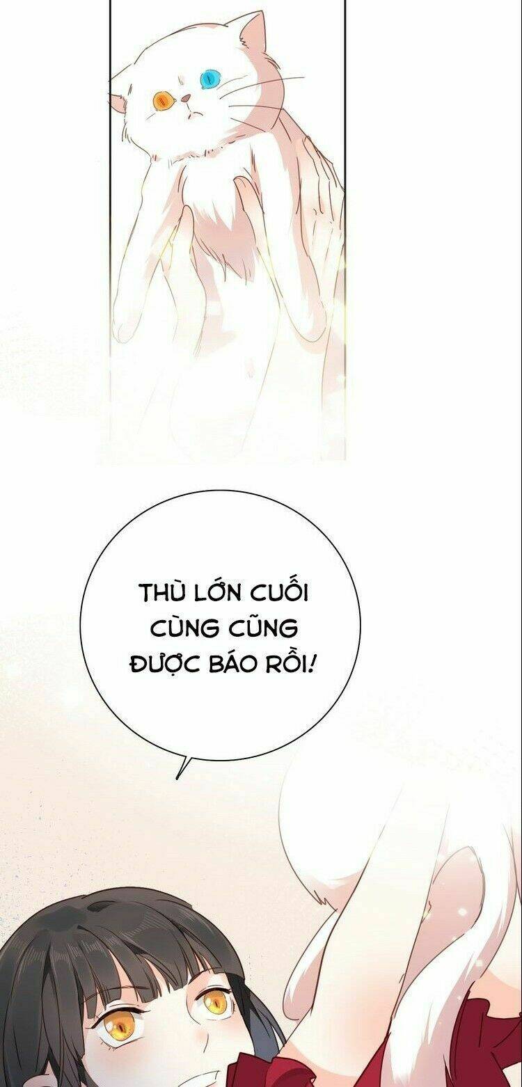 Hầu Nữ Giá Đáo Chương 19 Ảnh 47