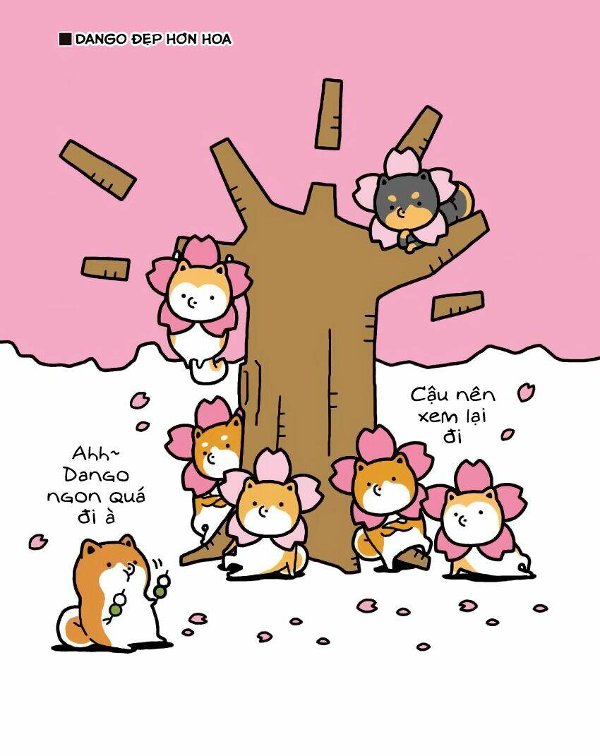 Taru Shiba Chương 6 Ảnh 7