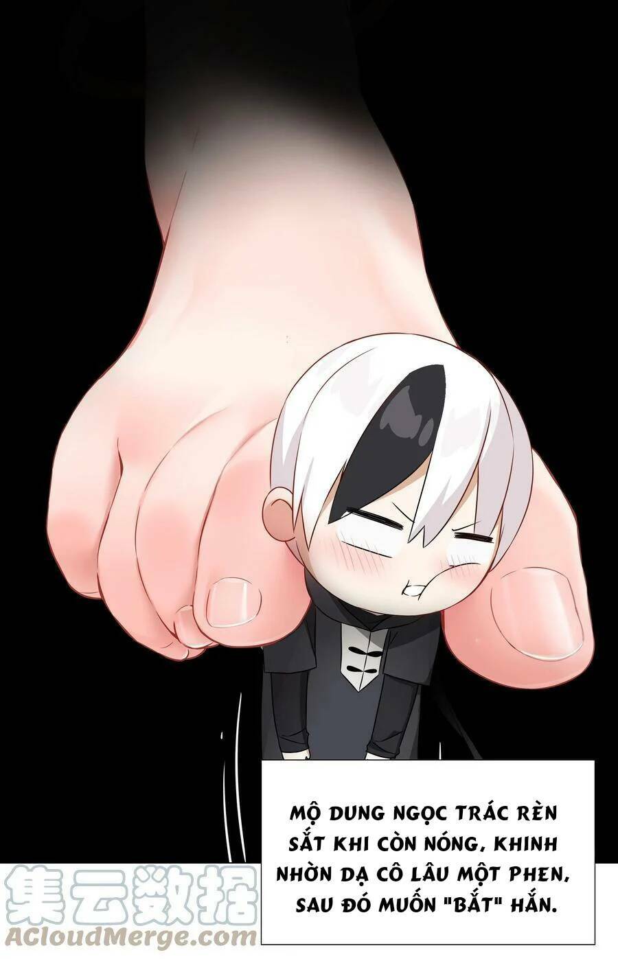 My Harem Grew So Large, I Was Forced To Ascend Chương 57 Ảnh 5